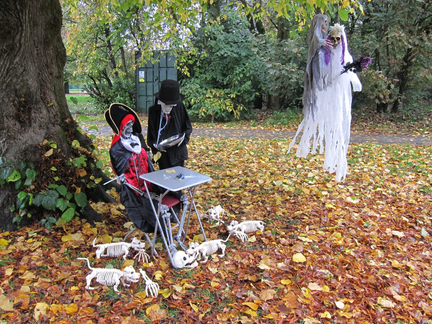 Bury Halloween 2026: ghost trains, pumpkin picking, parade